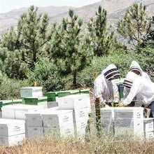 Load image into Gallery viewer, Wildflower Blossom Honey "Just Restocked"!