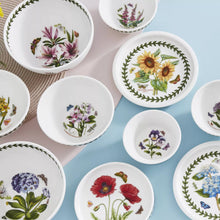Load image into Gallery viewer, Botanic Garden 10 Piece Bowl Set - Portmeirion