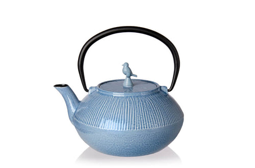 Enameled Cast Iron Teapot or Kettle 30 oz
