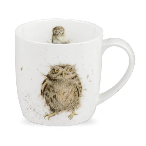 What A Hoot - Owl Mug - Royal Worcester 14 oz