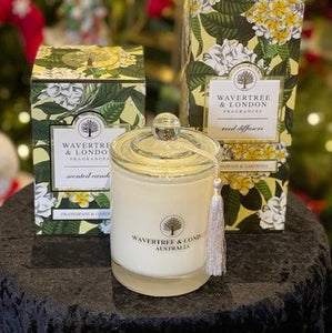 Wavertree & London Soy Candle - Frangipani and Gardenia (Includes Shipping)