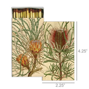 Decorative Matches "Protea" Set of 2 Boxes