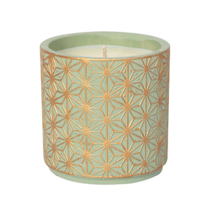 Bamboo and Jasmine 15 oz Candle in flower pot