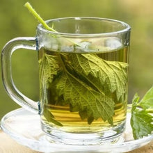 Load image into Gallery viewer, Organic Nettle Leaf Tea